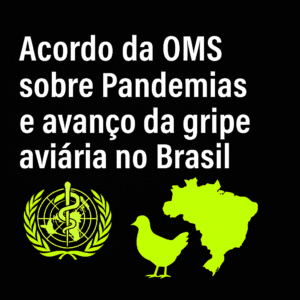 Arte digital com fundo preto, texto em branco e ícones verde-limão: o emblema da OMS, o mapa do Brasil e uma ave, representando o acordo sobre pandemias e o avanço da gripe aviária